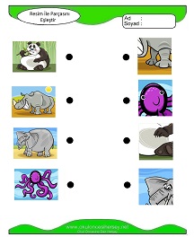 okul öncesi çocuklar için Sayı Sayma çalışma sayfaları